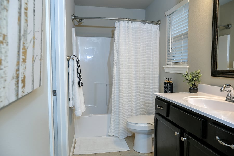 MASTER BATH (EXTRA LINEN CLOSET WITH FIRST AIDE KIT, TOILETRIES, HAIRDRYER)