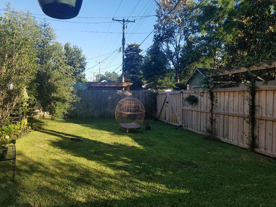 Shared Backyard