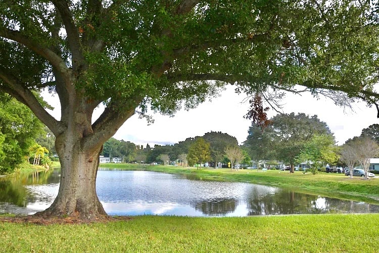 5 min walk to Kelly Lake Park
3 min Drive Wiwanis Park