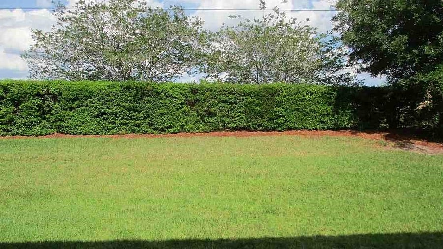 Furnished Finder property 650174_1 photo 15