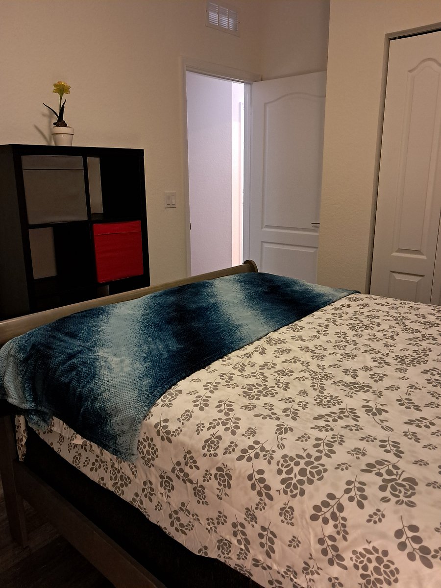 Furnished Finder property 650174_1 photo 7