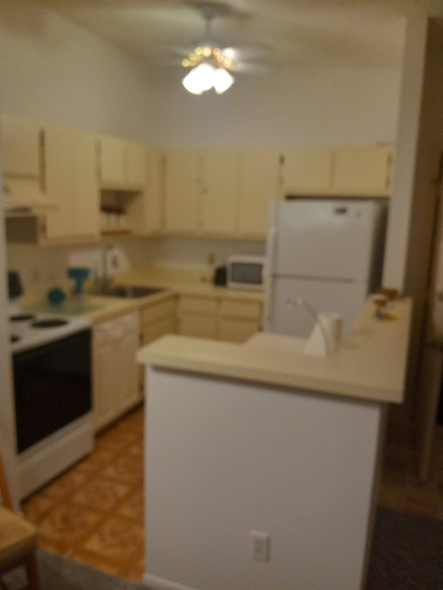 Furnished Finder property 650210_1 photo 8