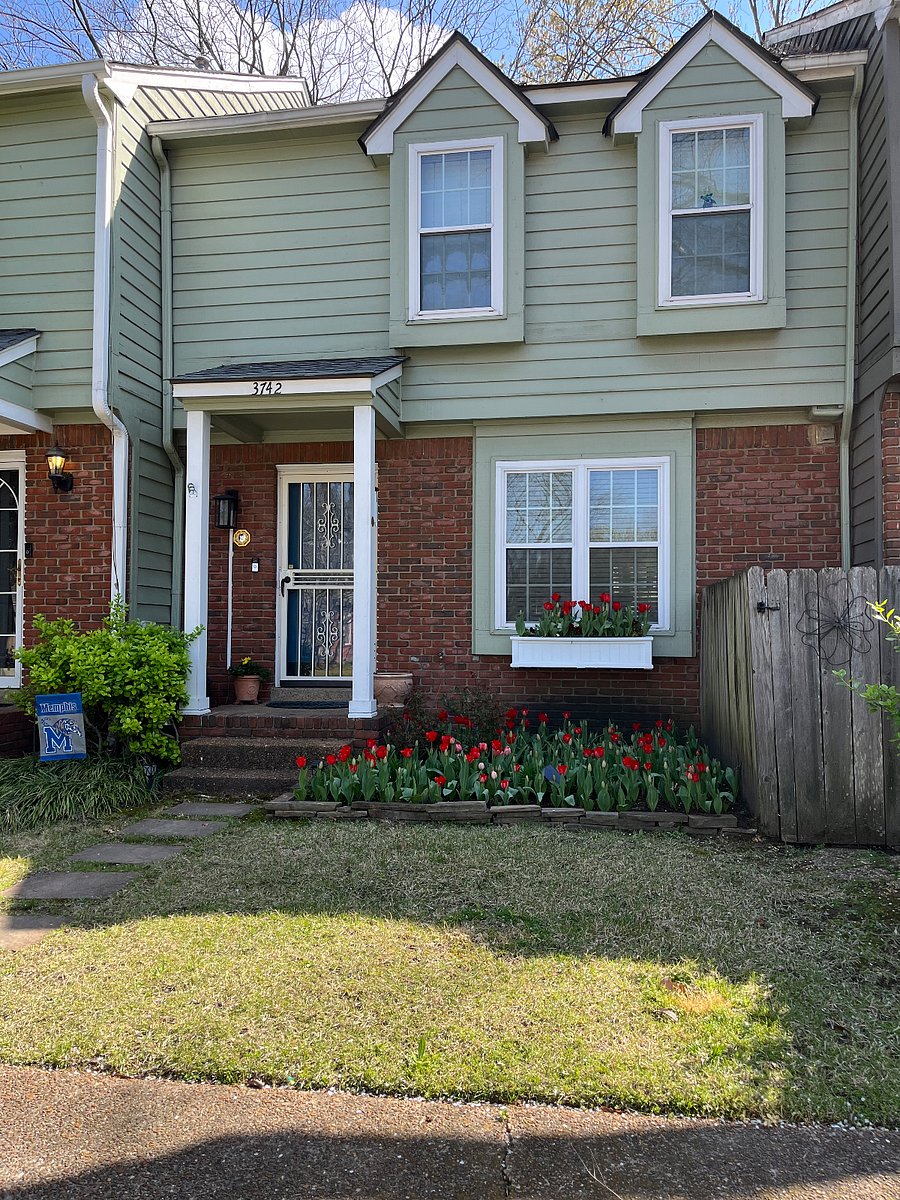 Furnished Finder property 650429_1 photo 9