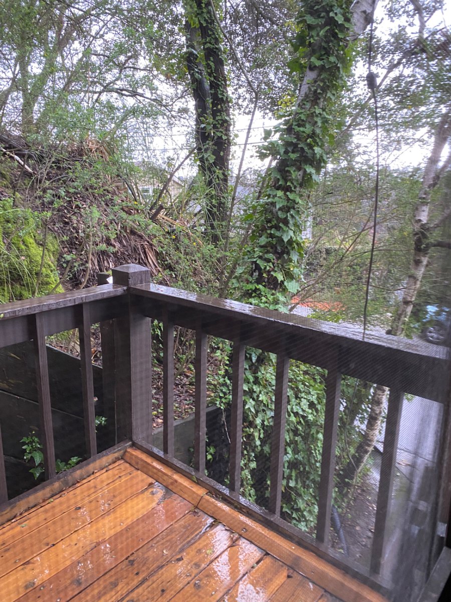 Furnished Finder property 650430_1 photo 20