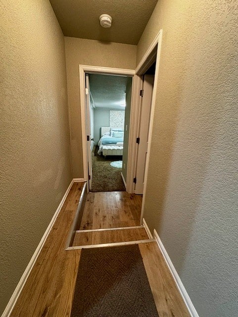 Furnished Finder property 650547_1 photo 11