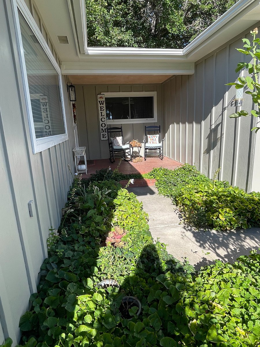 Furnished Finder property 650635_1 photo 15