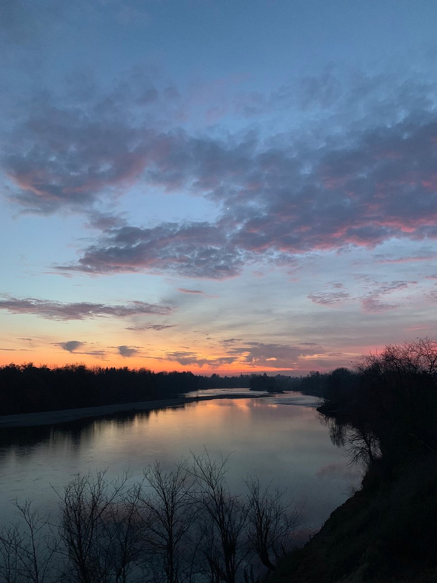 American River Parkway, 10 minute walk from the house