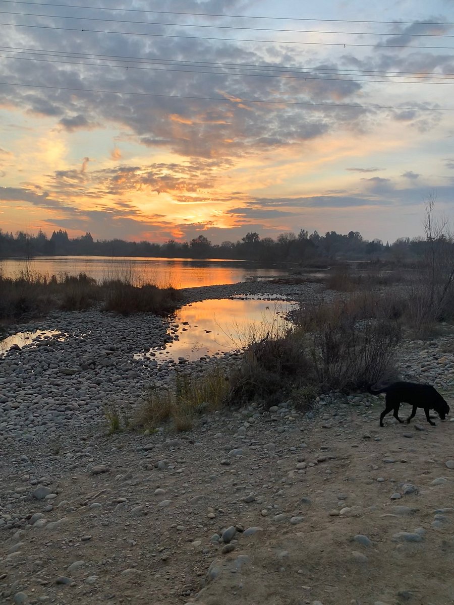 American river Parkway. This picture was taken after a 10 minute walk from the house