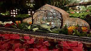 Krohn's Conservatory - A beautiful walk just 5 blocks from the property