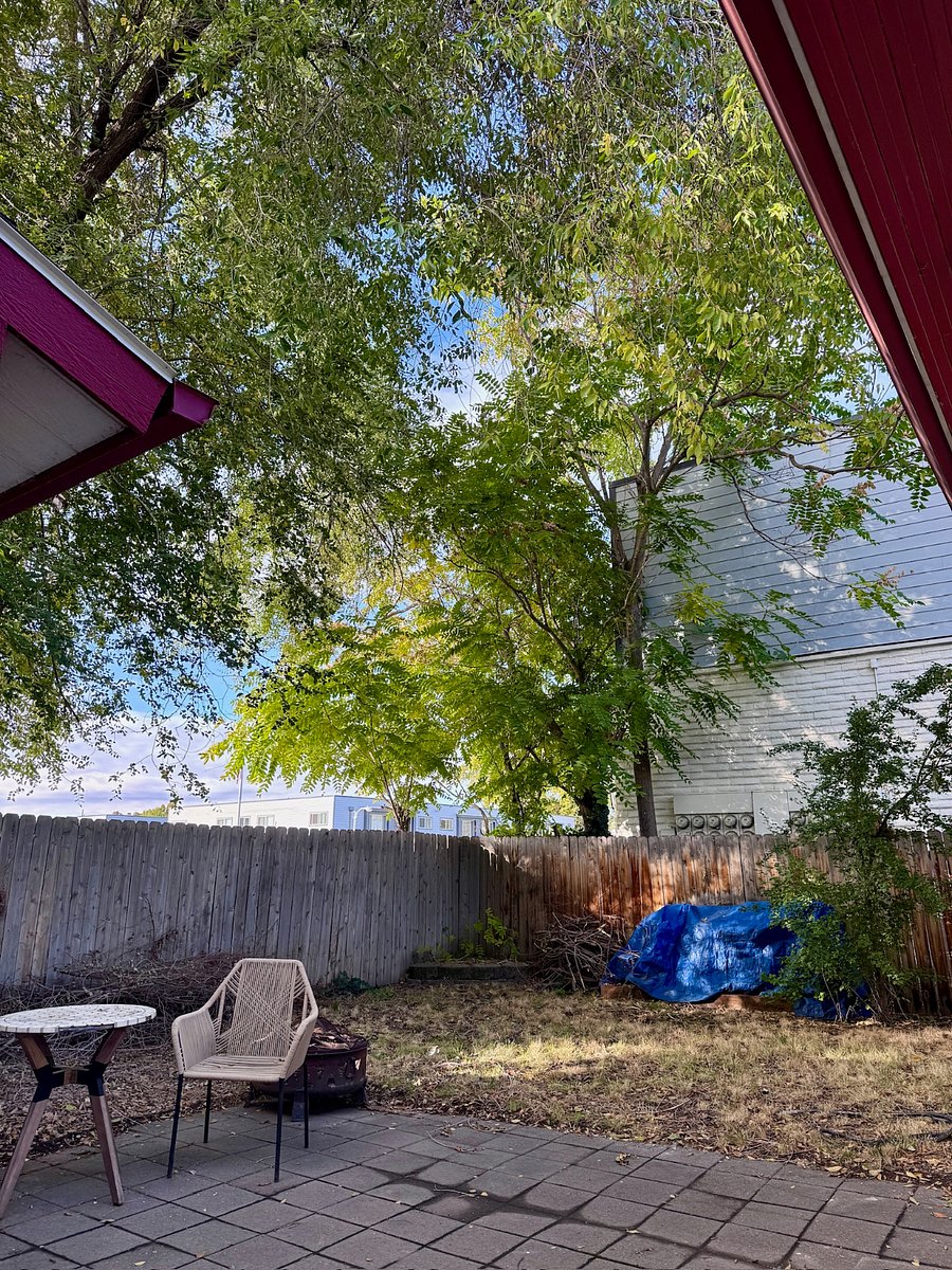 Furnished Finder property 651232_1 photo 16
