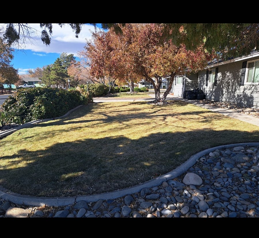 Front Yard Area