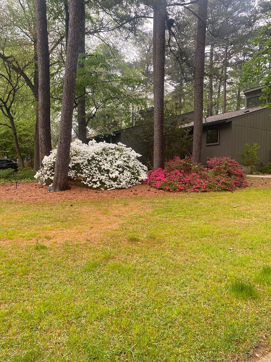 Furnished Finder property 651569_1 photo 25