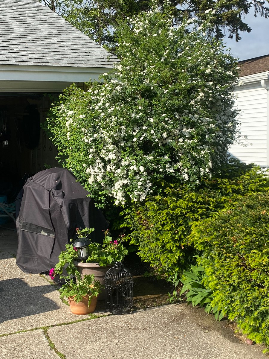 Furnished Finder property 652201_2 photo 21