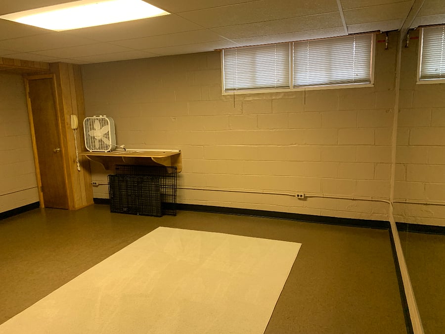 Basement Space with a large panel mirror on wall. Can be used as a gym.