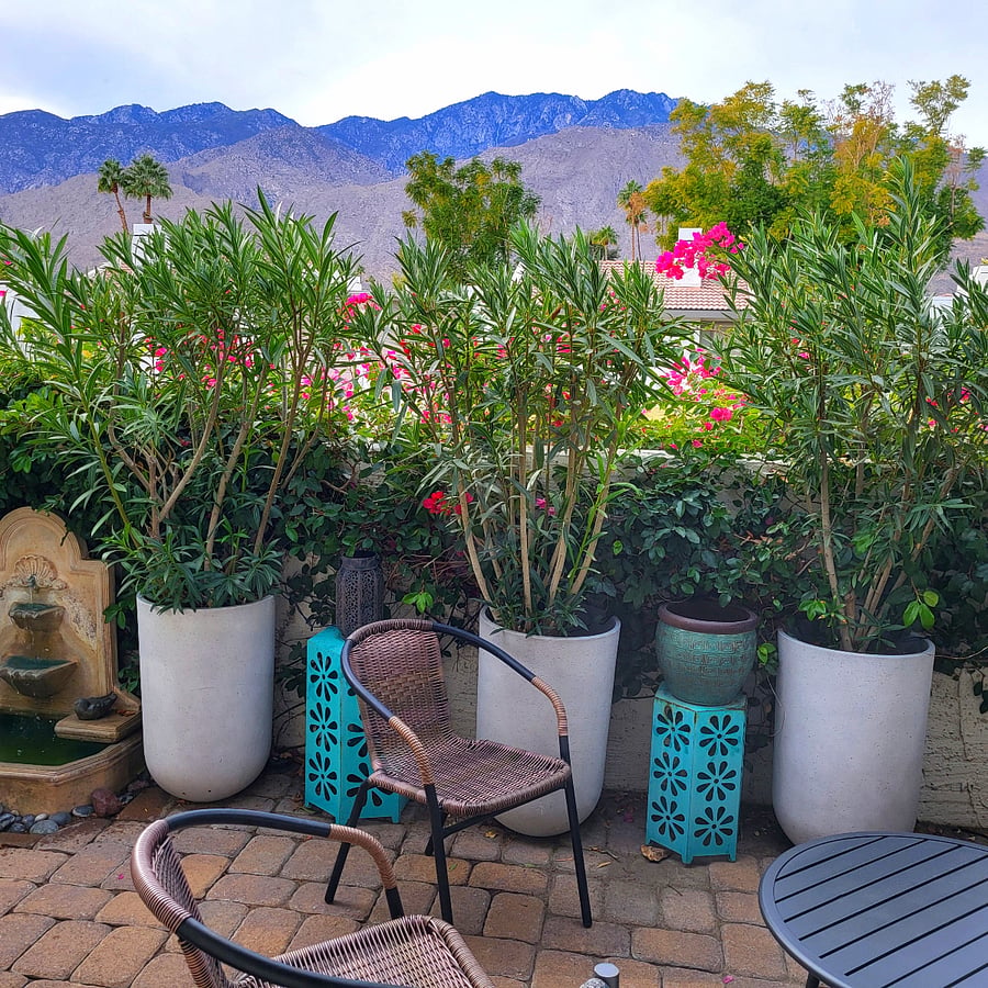 gorgeous mountain views from front patio!