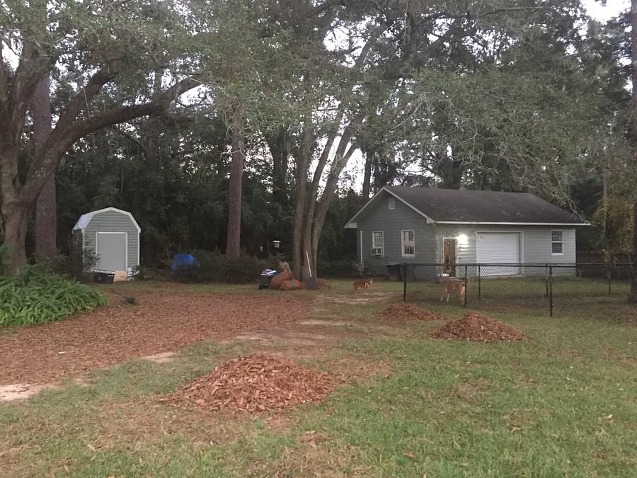 View of the yard and shed, area to plant veggies/herbs and lots of bird feeders. ( kayaks bikes stored here)