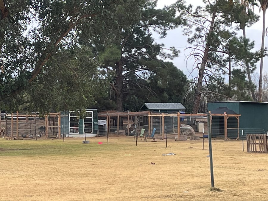 pasture and goat house and chicken coops