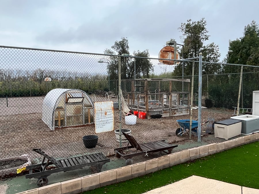 garden and greenhouse, more garden space to come in the near future