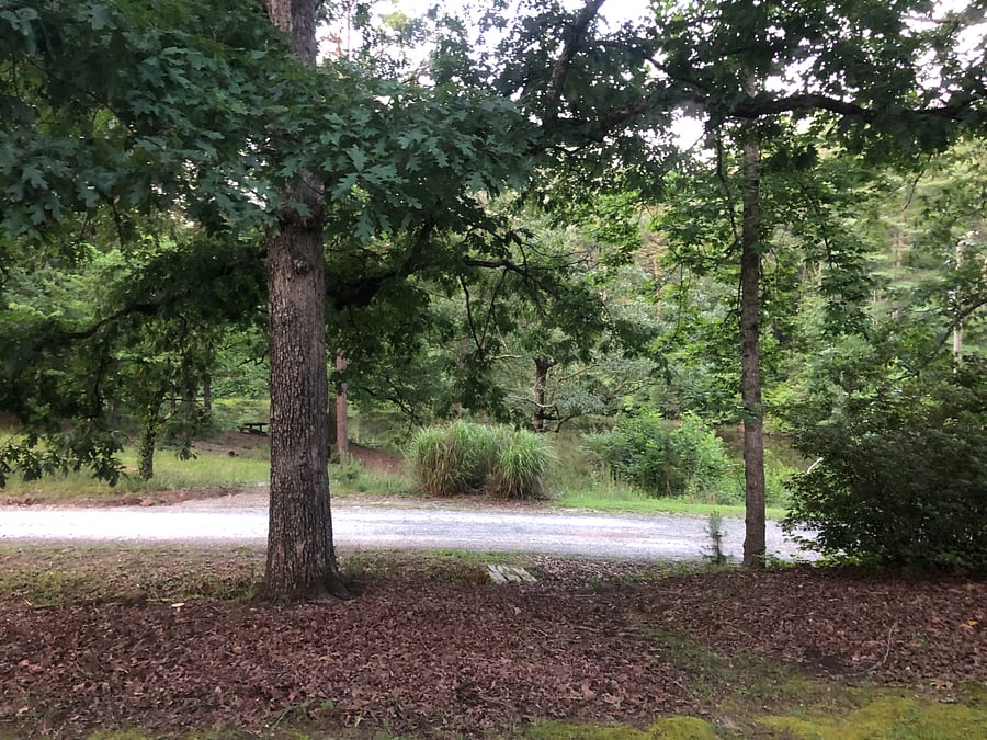 Community Pond across street
