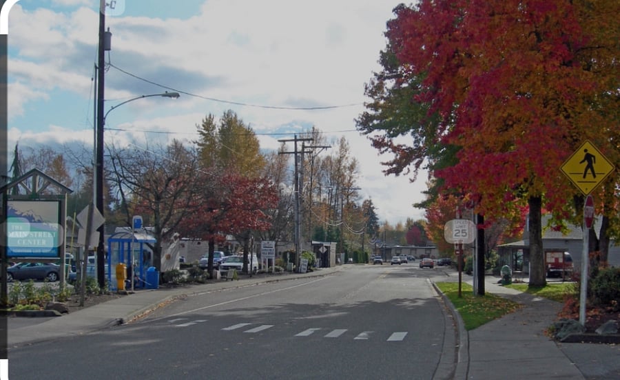 Quaint little town of Lake Stevens. No traffic lights!