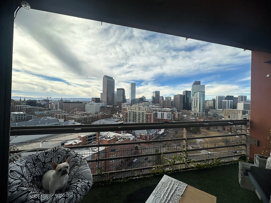Furnished Finder property 653149_1 photo 8