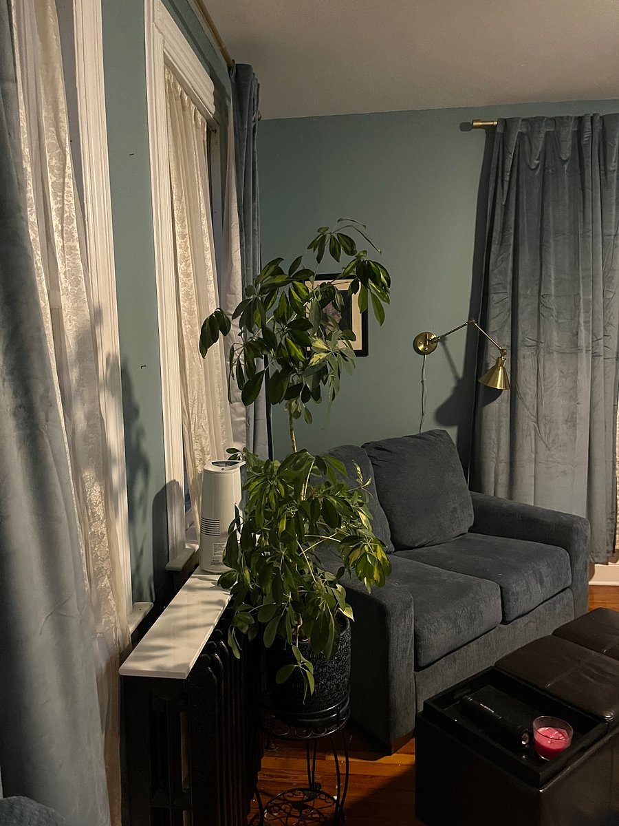 Furnished Finder property 653163_1 photo 7