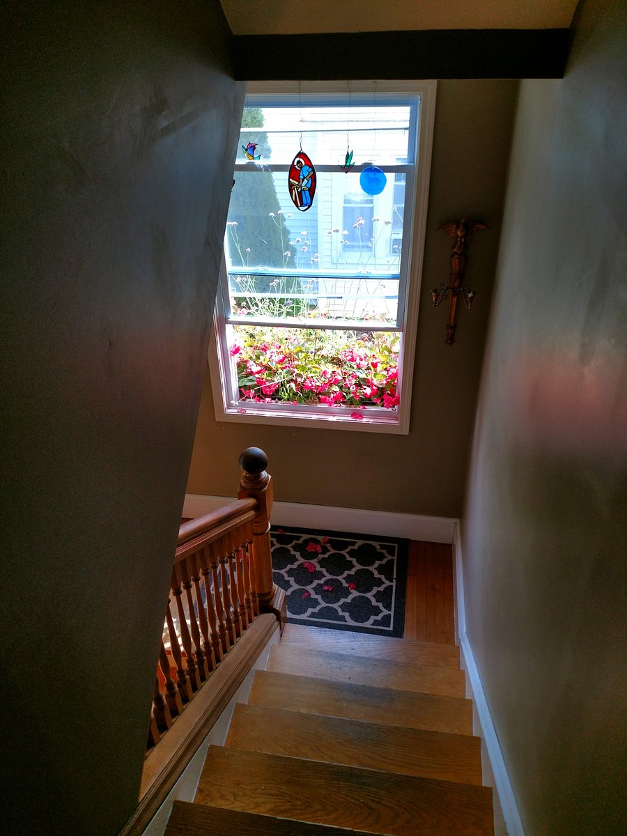Furnished Finder property 653202_1 photo 6