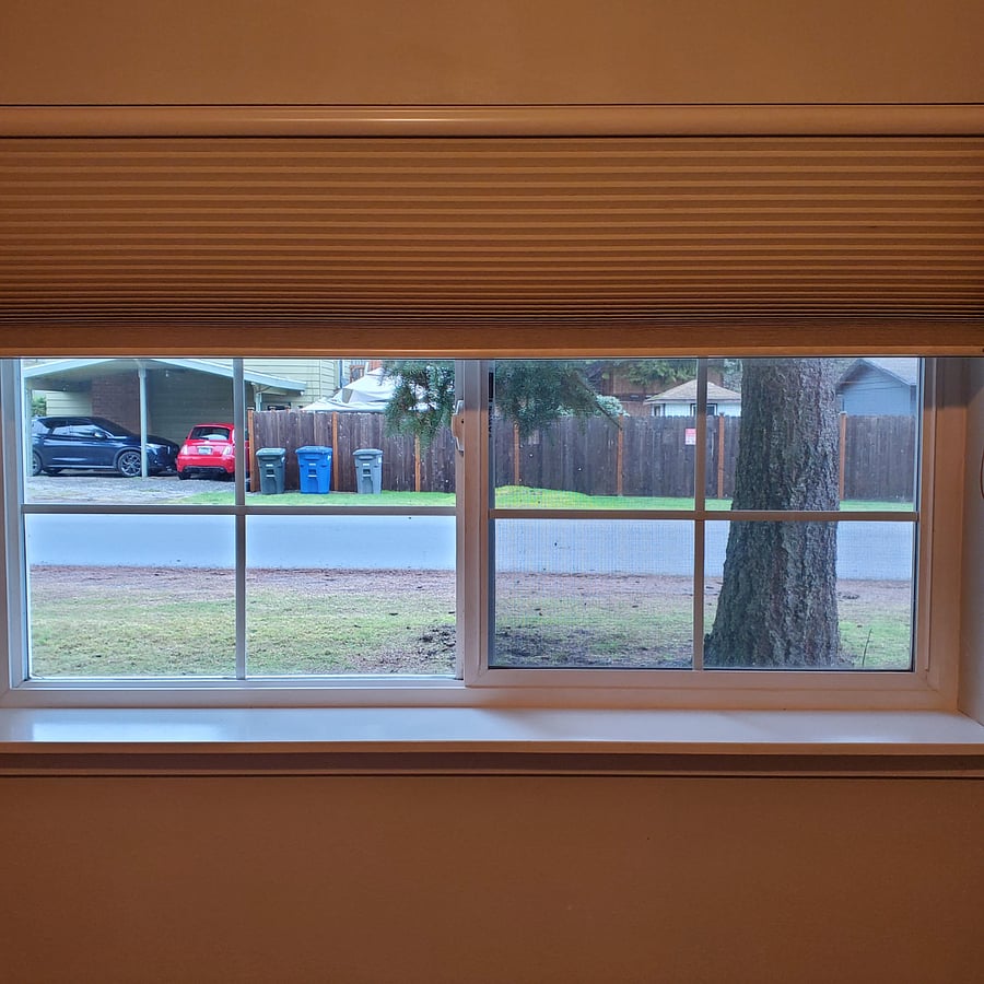 View from bedroom window