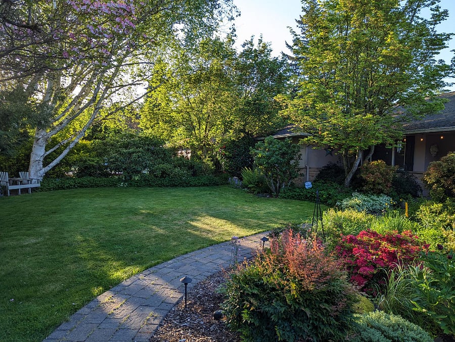 Front yard