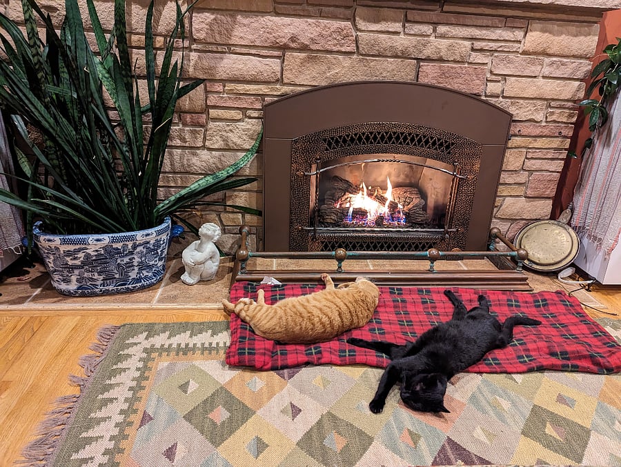 Cats getting enjoying a heat stupor in front of the gas fireplace.