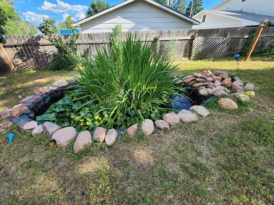 Furnished Finder property 653262_1 photo 10