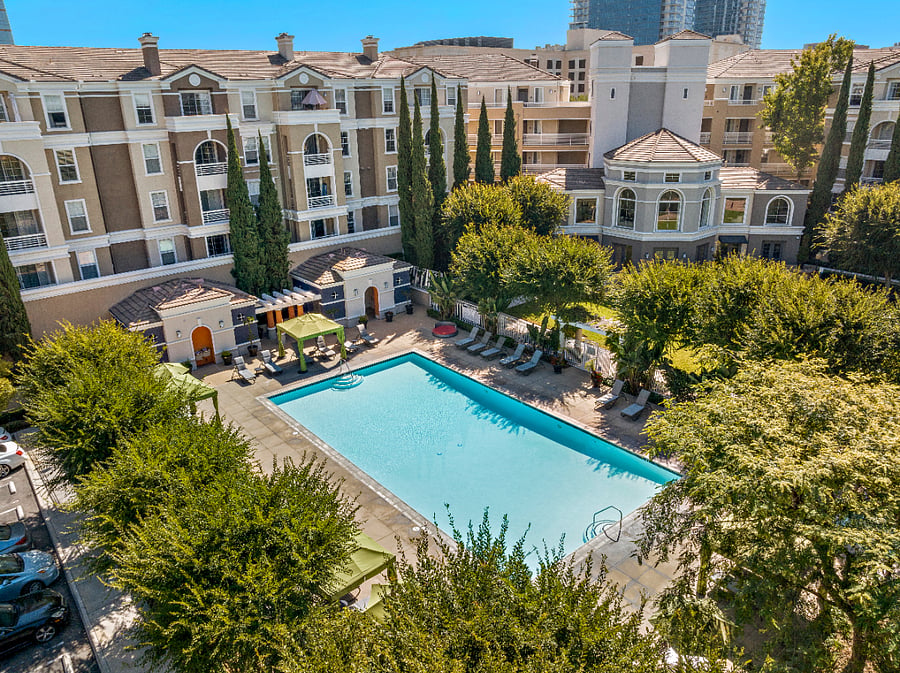 Olympic size pool, jacuzzi and BBQ area