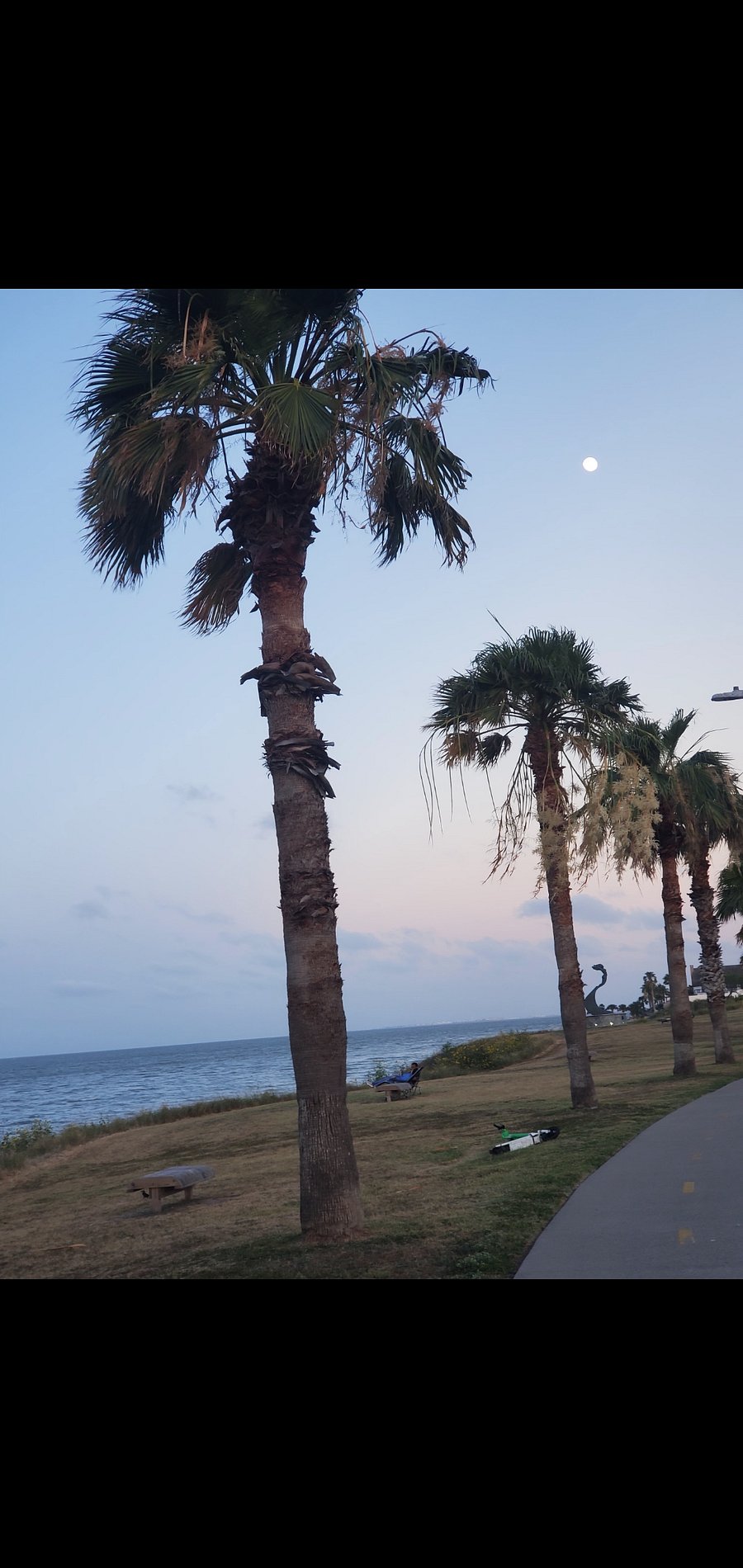 I took this photo at Cole Park.