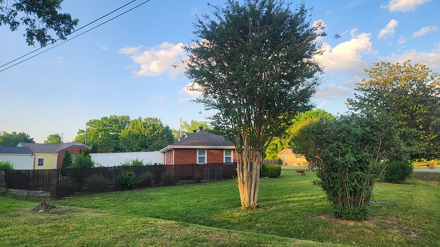 Furnished Finder property 653828_1 photo 15
