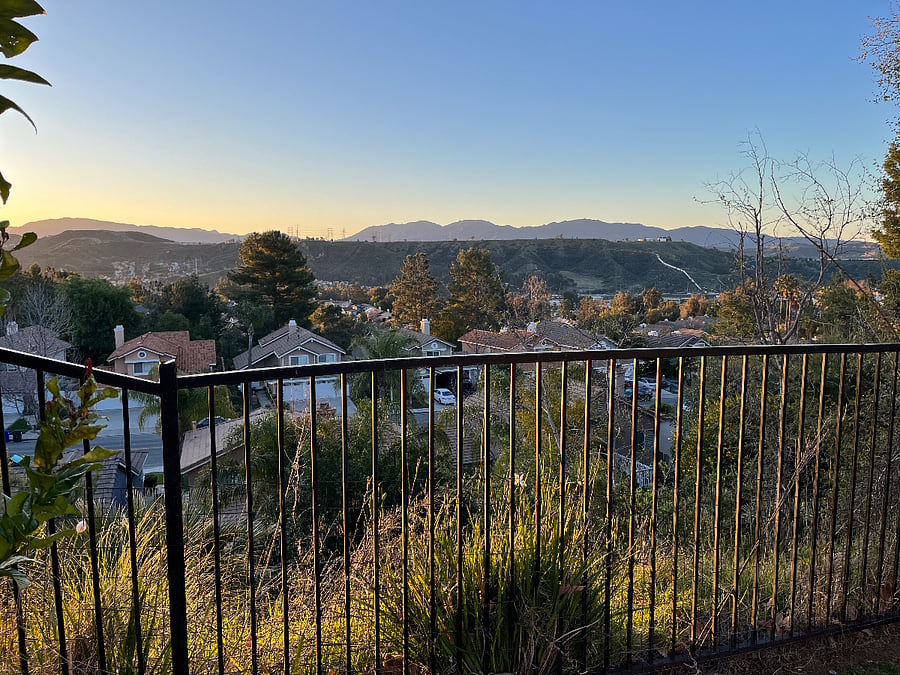Back Yard View