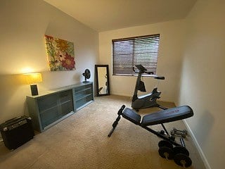 workout area with closet space