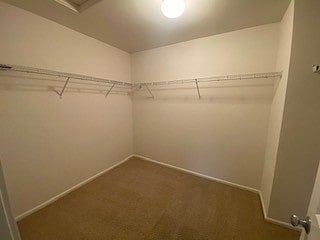 HUGE primary bedroom walk in closet