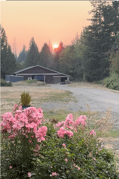 Enjoy beautiful Sunsets above owner's Barn and shop
