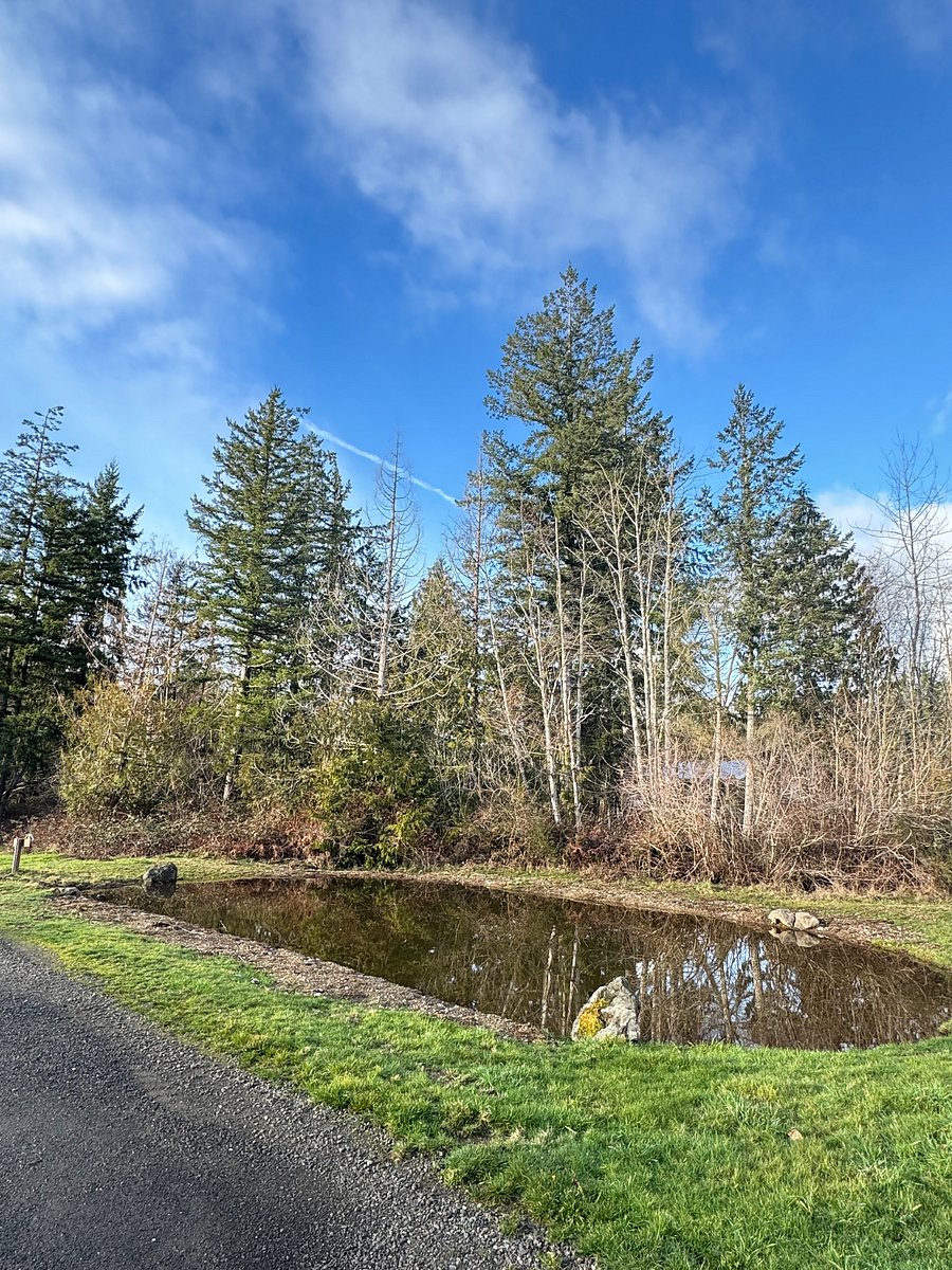 Upper Pond. Enjoy late winter and early Spring evenings full of frog "music". They are courting in a family kind of way. lol  