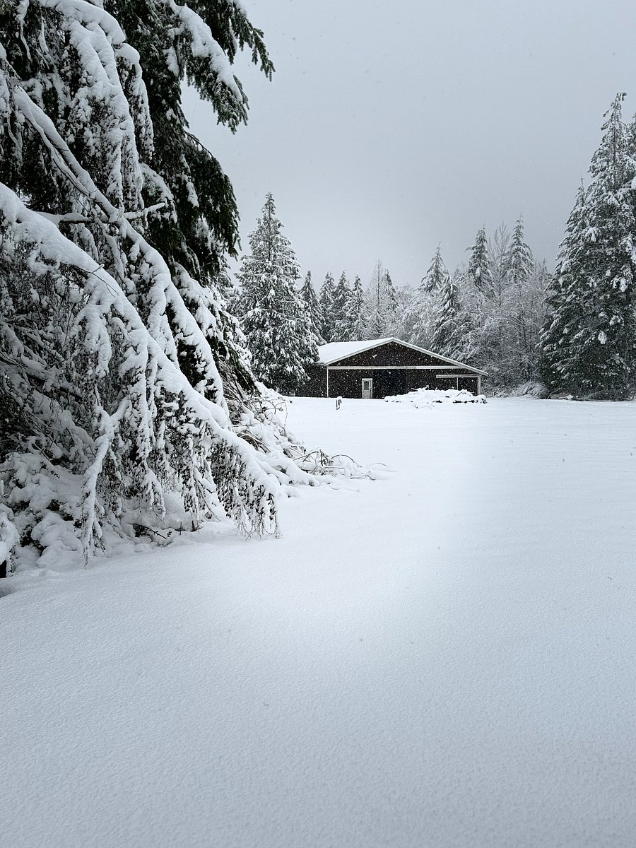 Bring your cross country skis or snow shoes if you are here when it snows. We usually have one snow event per season. Have fun!