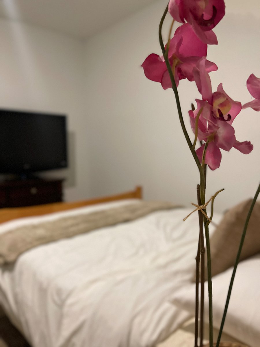 Furnished Finder property 654081_1 photo 9