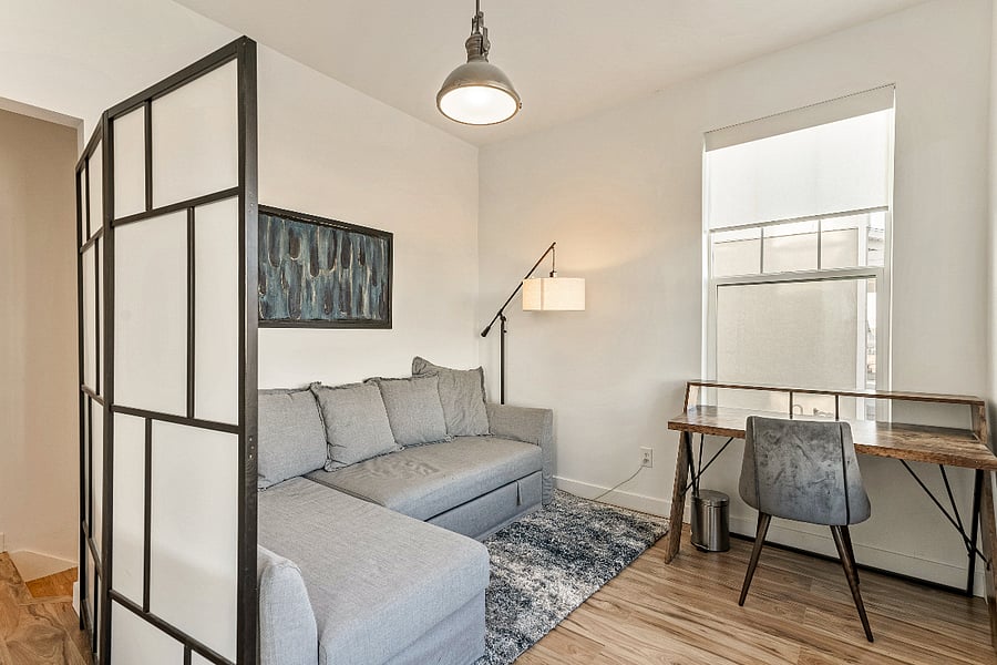 Above ground Foyer - Large sofa bed, workstation, large area rug, and light filtering shades. 