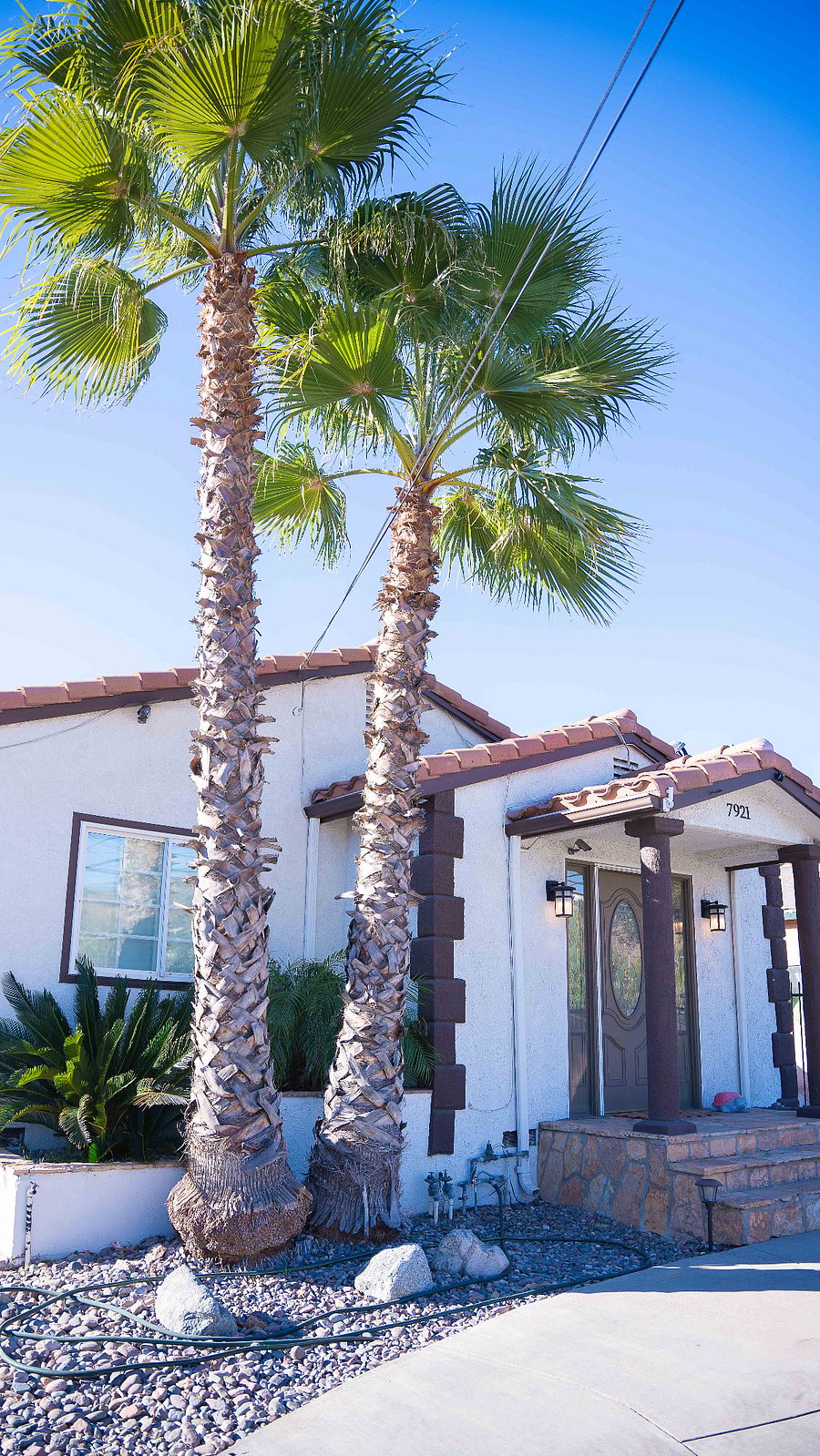 Furnished Finder property 654230_1 photo 17