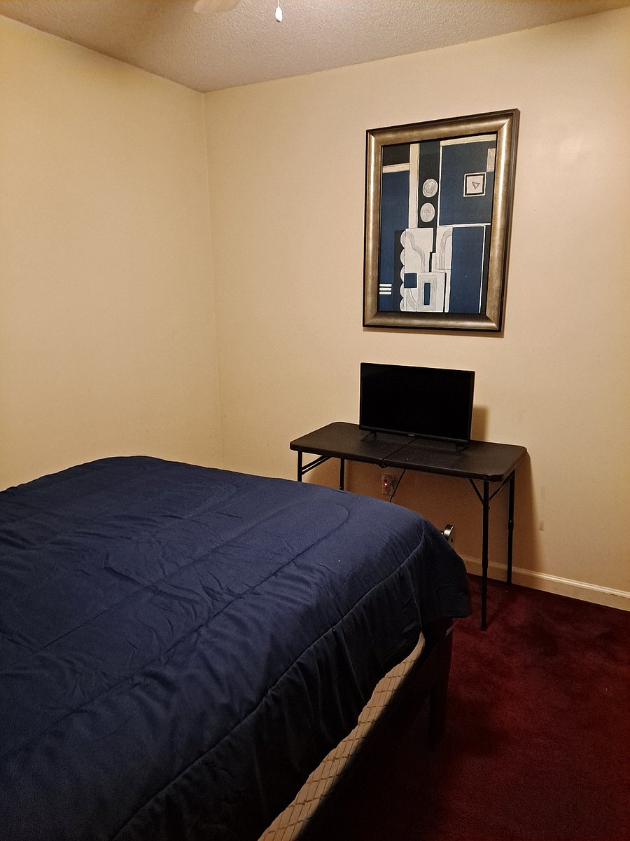 Furnished Finder property 654265_1 photo 15