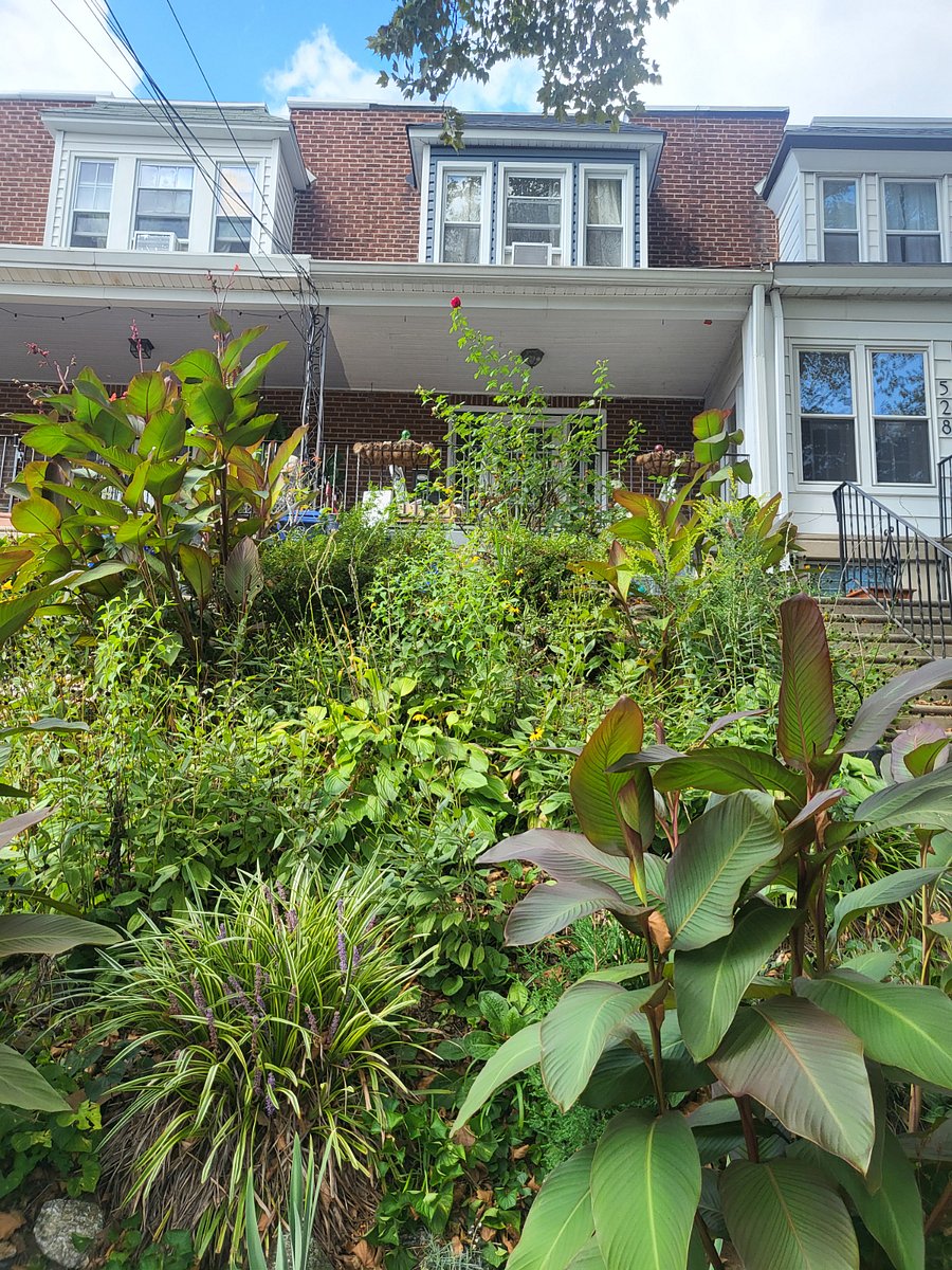 Furnished Finder property 654338_1 photo 10