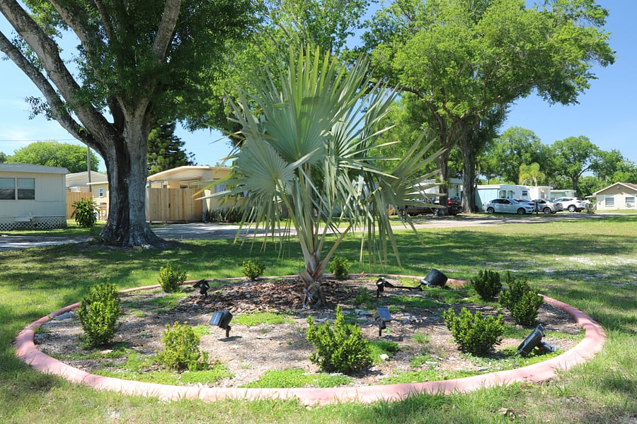 Furnished Finder property 654360_1 photo 30