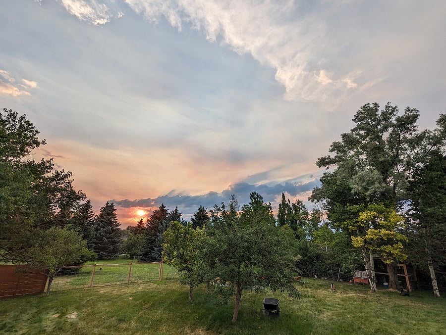 Mature apple trees and landscaping, fenced yard, chicken coop