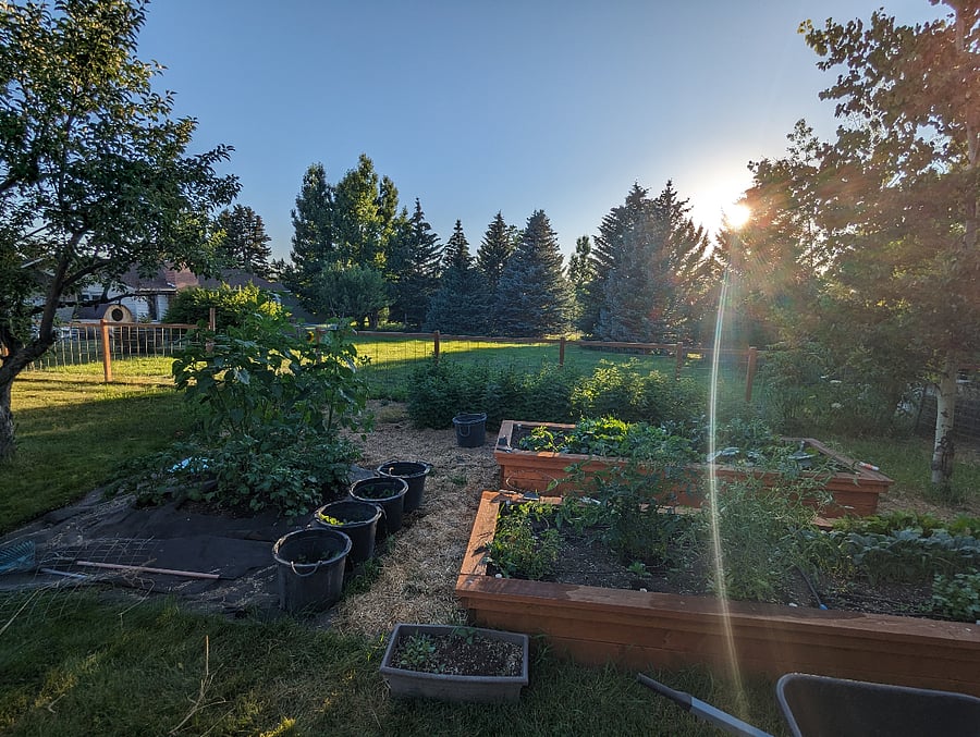 Raised garden beds