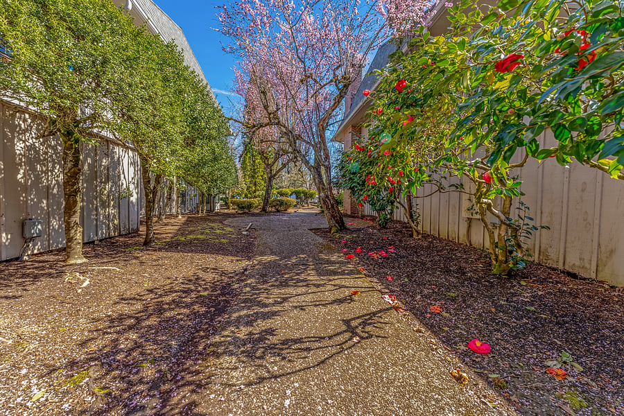 Adjacent public walkway between buildings