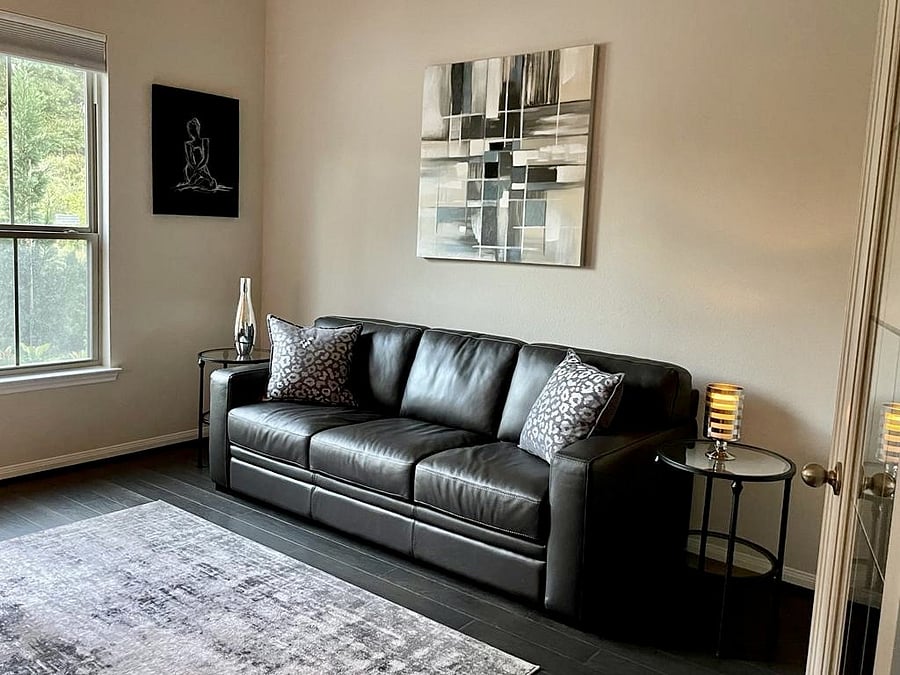 Studio with Queen Sofa Bed
